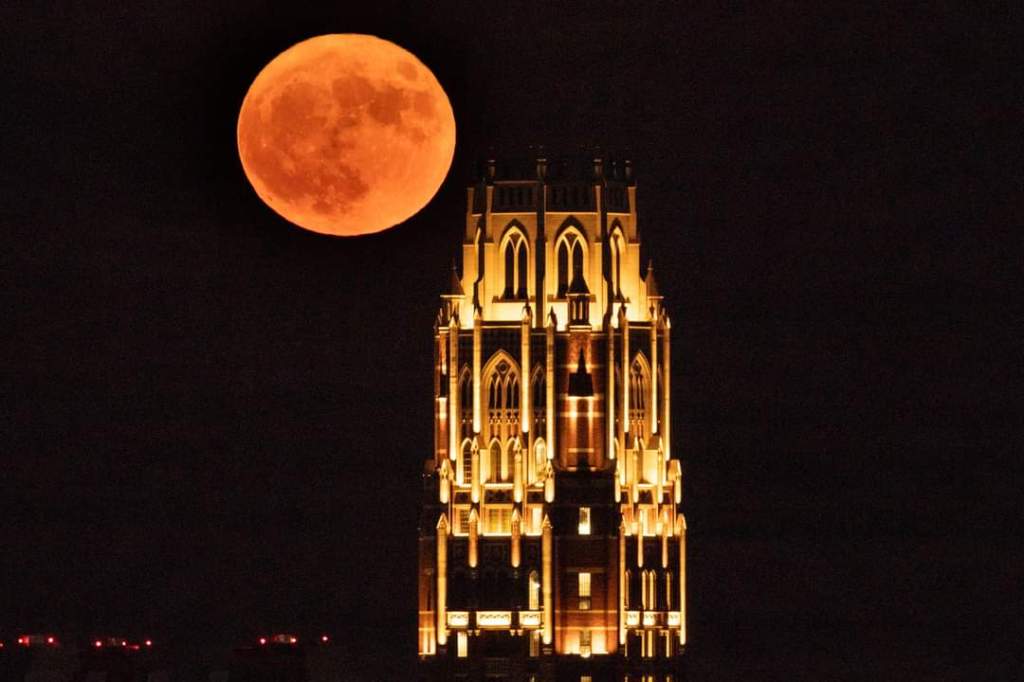 Fotogalería | Así lució la Luna de Esturión ayer en diversas partes del&nbsp;mundo