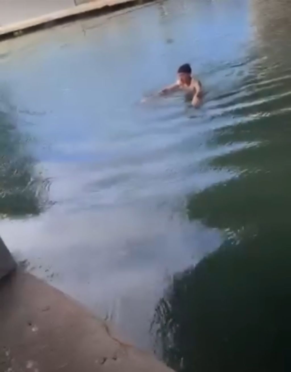 Gobierno municipal de Tampico hace un llamado para que ciudadanos eviten invadir hábitat de&nbsp;cocodrilos