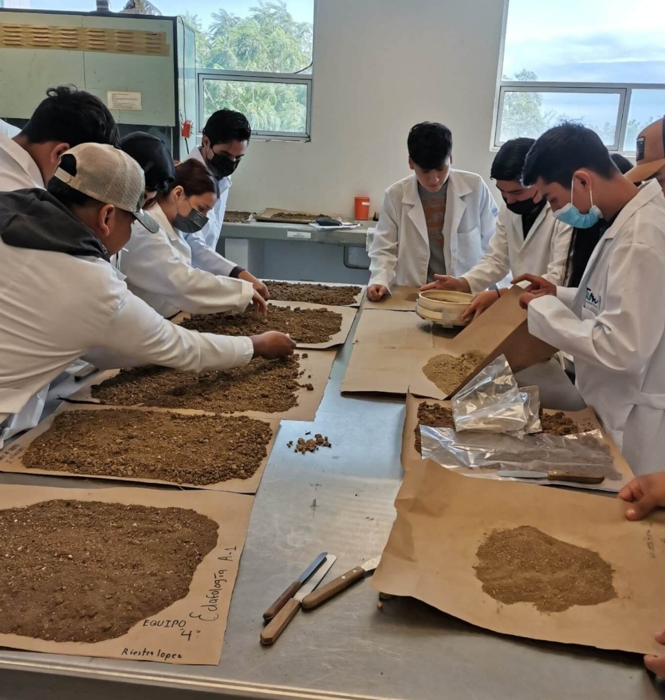 Desarrolla la UAT un proyecto para evaluar los residuos contaminantes de agroquímicos en el&nbsp;suelo