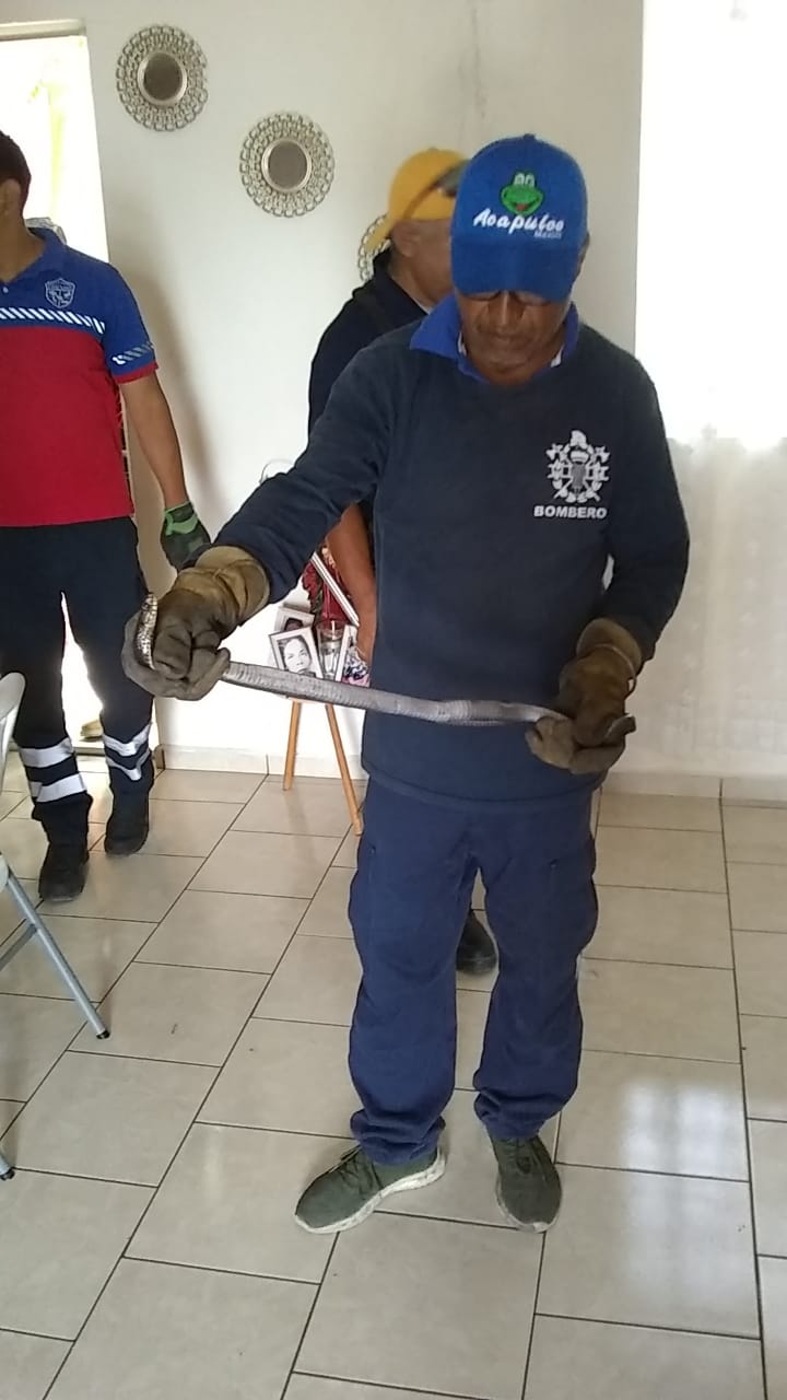 Emite PC de Victoriarecomendaciones paraevitar picaduras deanimales&nbsp;ponzoñosos.