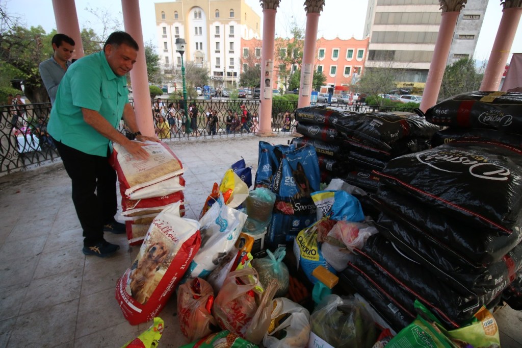 Desde el Senado Geño promoverá leyes más severas contra el maltrato&nbsp;animal.