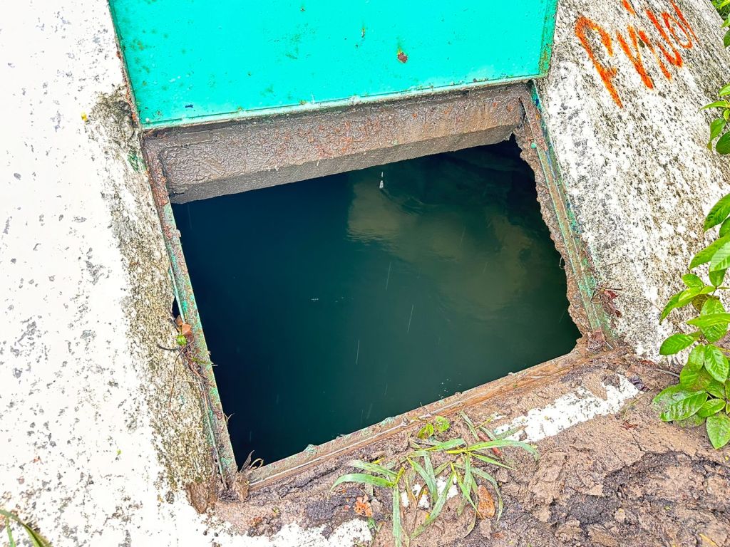 Incrementa el gasto de los manantiales La&nbsp;Peñita