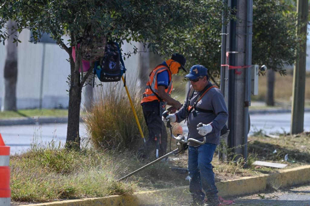 Municipio limpia y conserva 35 mil metros lineales de avenidas y&nbsp;jardines.