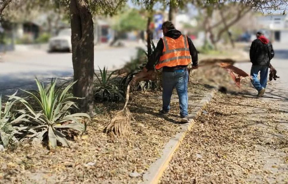 Ayuntamiento restaura entornode 30 colonias de la&nbsp;ciudad
