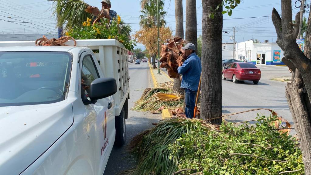 Fortalece municipio limpia y mantenimiento de vialidades y áreas&nbsp;verdes