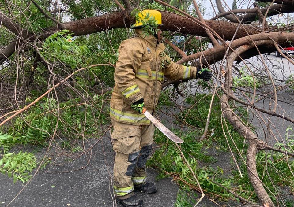 Atiende Municipio reportes ciudadanos por afectación de&nbsp;vendaval.