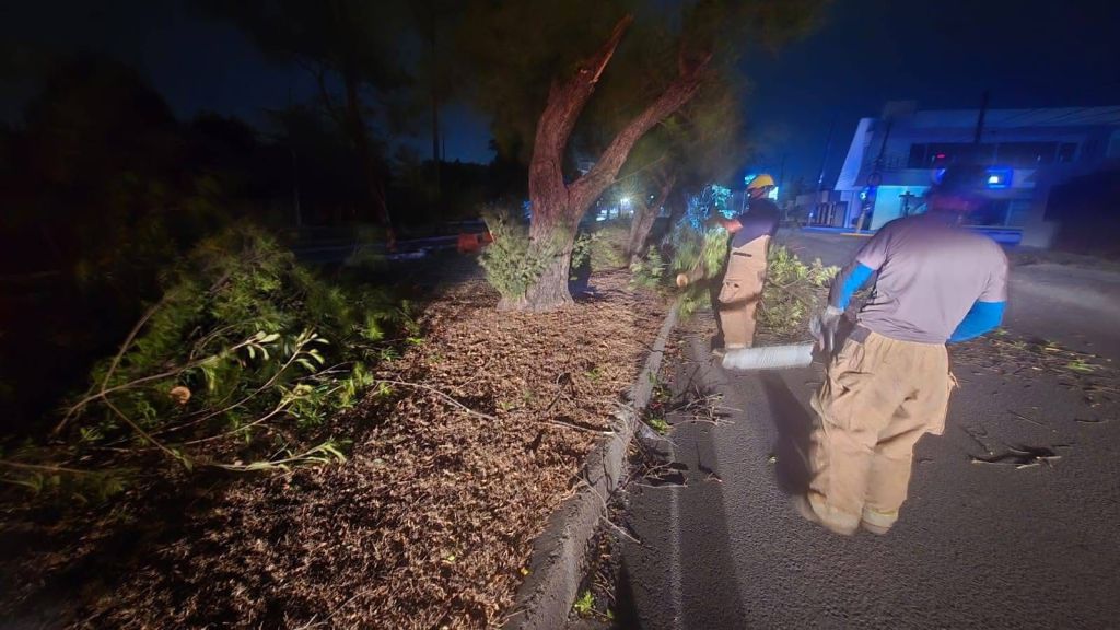 Activa Municipio operativo de limpieza y prevención por fuertes vientos en&nbsp;Victoria.